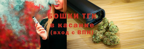 шишки Горно-Алтайск