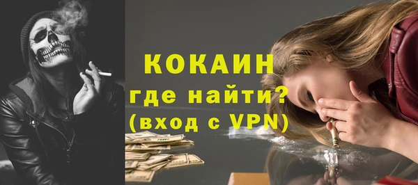 шишки Волоколамск