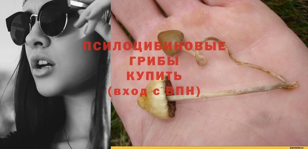 шишки Волоколамск
