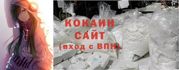 шишки Волоколамск
